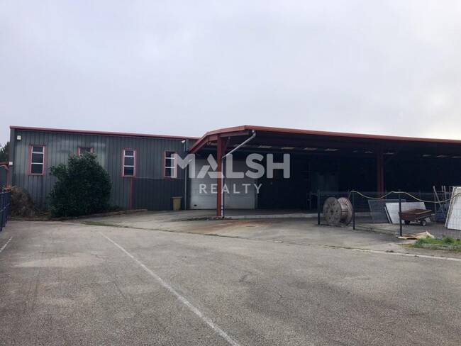 REXIM - Local d'activités - Rhône - Alix - 1