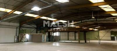 REXIM - Local d'activités - Rhône - Alix - 3