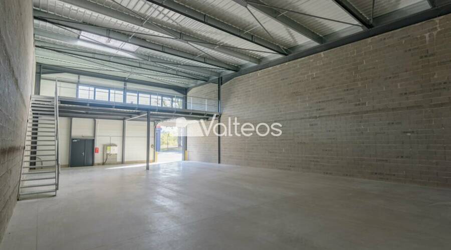 REXIM - Local d'activités - Haute-Garonne - Muret - 4