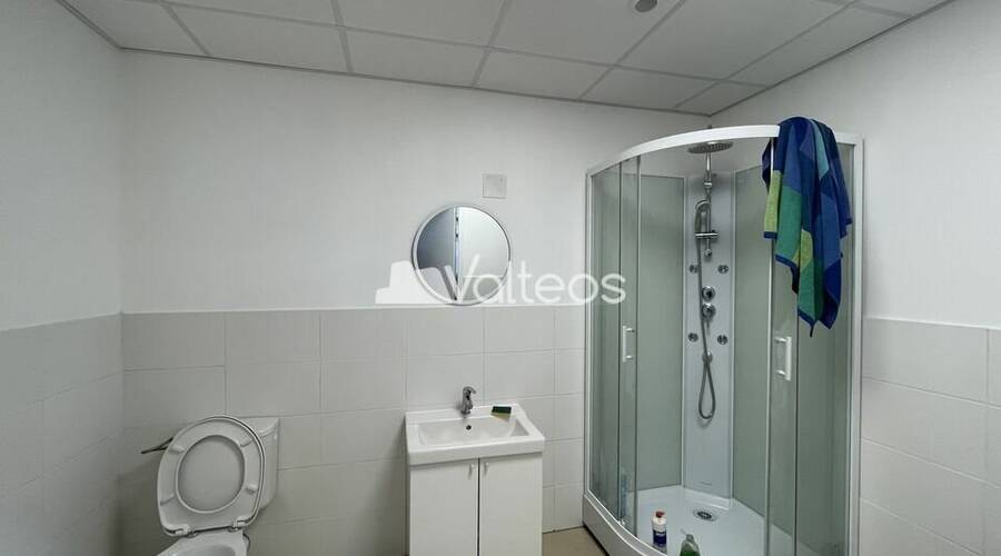 REXIM - Local d'activités - Haute-Garonne - Muret - 7