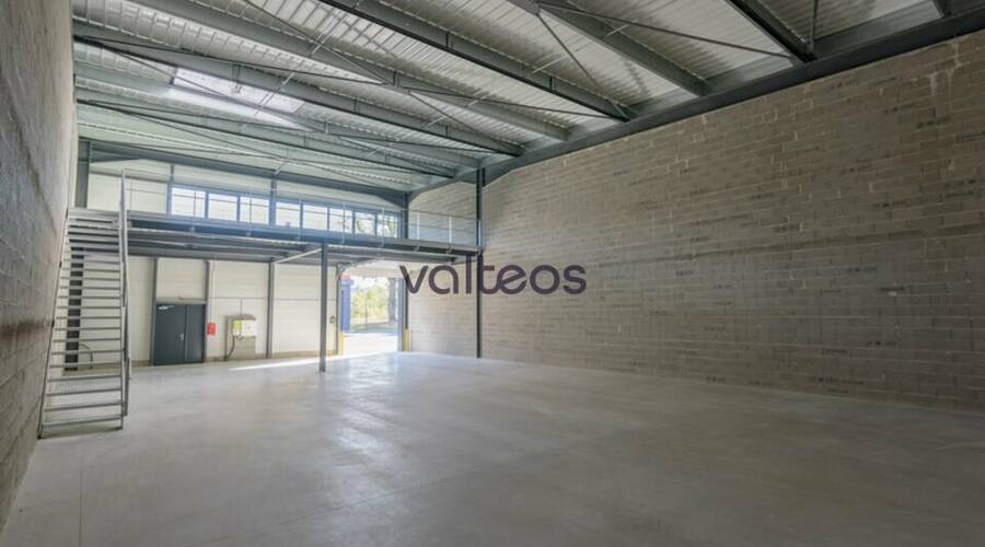 REXIM - Local d'activités - Haute-Garonne - Muret - 4