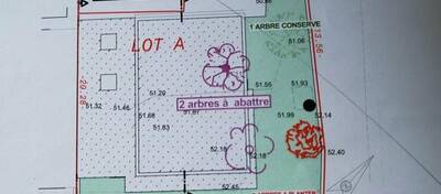 REXIM - Bureau - Hérault - Saint-Jean-de-Védas - 11