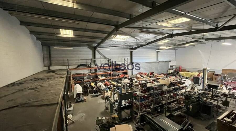 REXIM - Local d'activités - Haute-Garonne - Cugnaux - 2