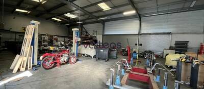 REXIM - Local d'activités - Haute-Garonne - Cugnaux - 3