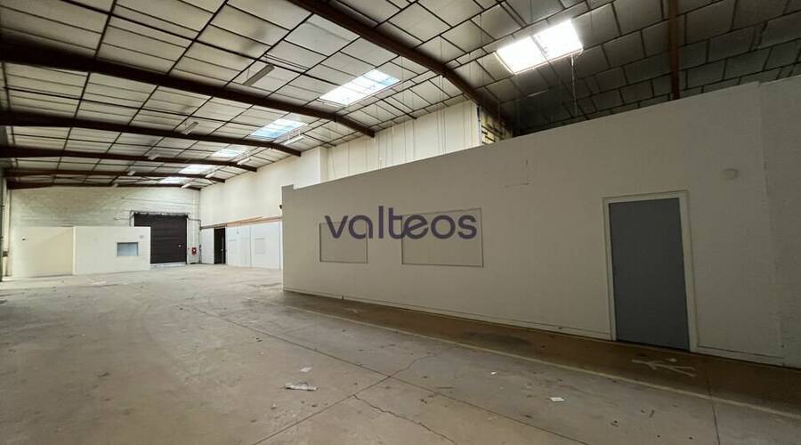 REXIM - Local d'activités - Haute-Garonne - Toulouse - 3