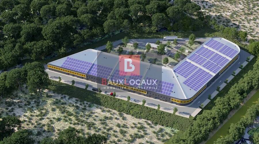 REXIM - Local d'activités - Vaucluse - Le Pontet - 5