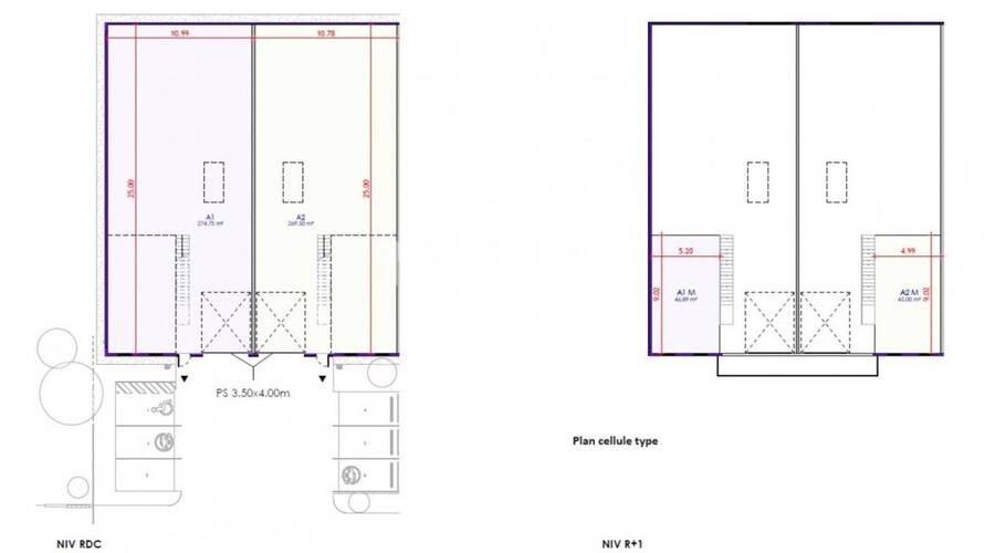 REXIM - Local d'activités - Ain - Dagneux - 8