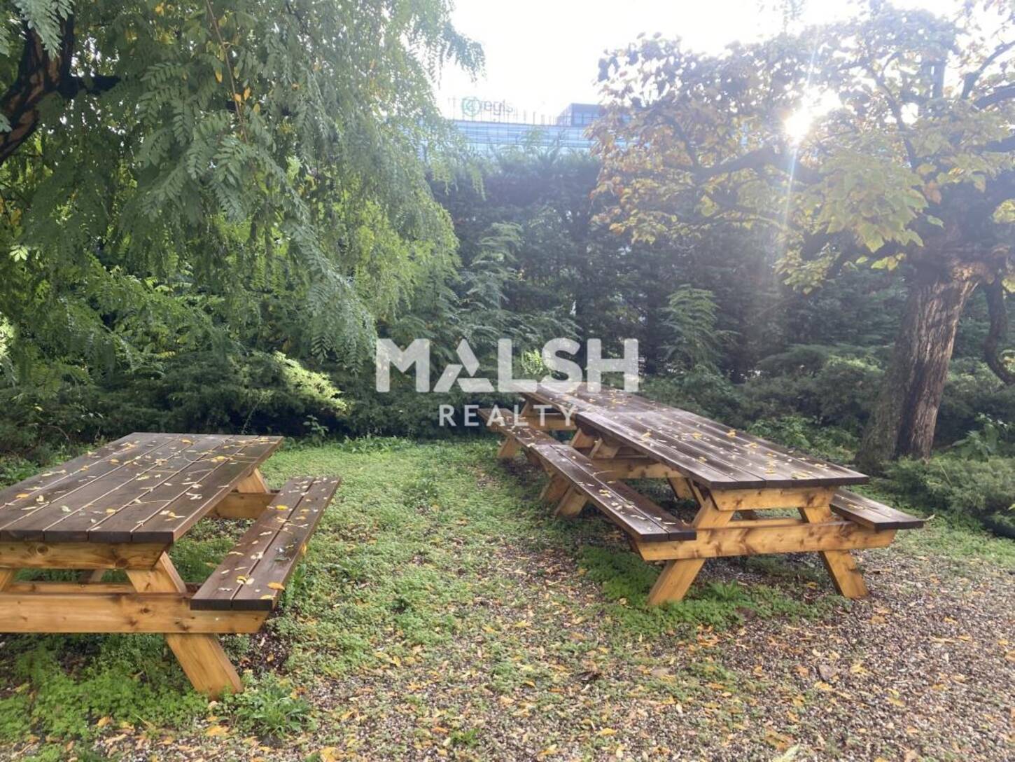 REXIM - Bureau - Rhône - Lyon - 2