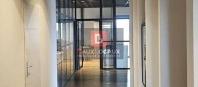 REXIM - Local d'activités - Vaucluse - Entraigues-sur-la-Sorgue - 5