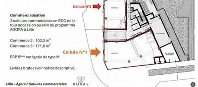 REXIM - Local commercial - Nord - Lille - 14