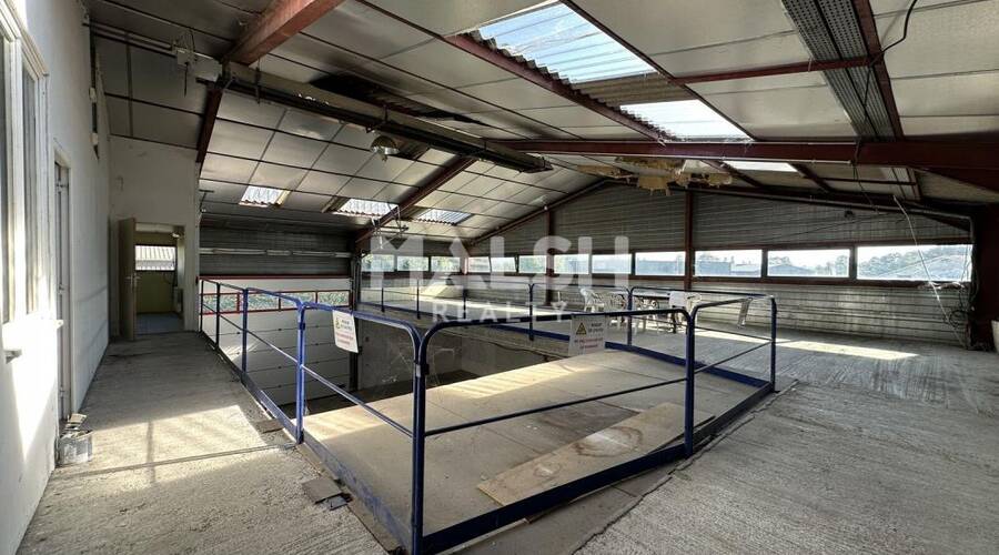 REXIM - Local d'activités - Ain - Trévoux - 5