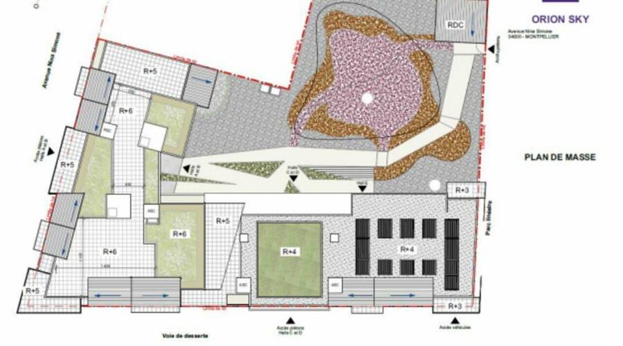 REXIM - Local commercial - Hérault - Montpellier - 8