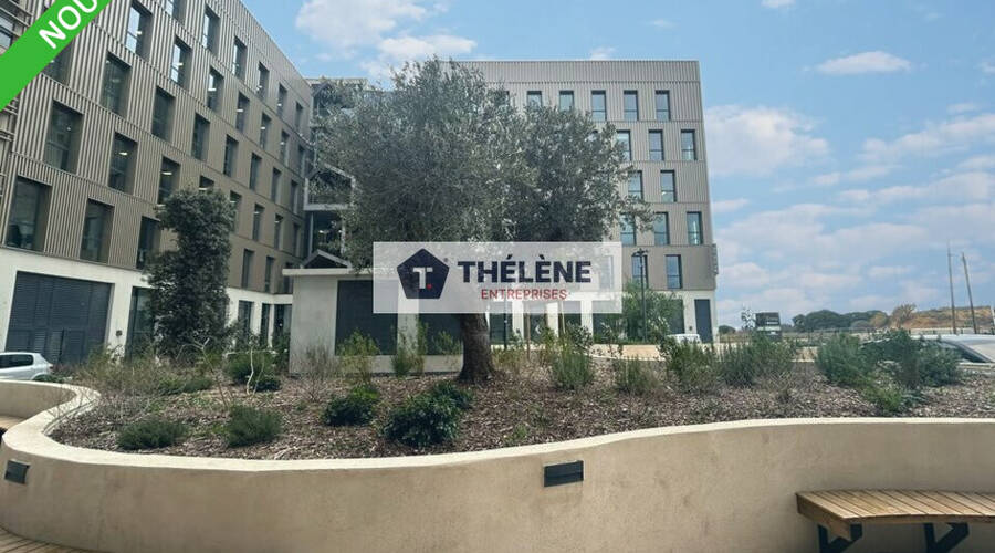 REXIM - Bureau - Hérault - Montpellier - 2