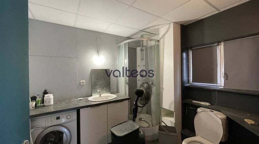 REXIM - Local d'activités - Haute-Garonne - Flourens - 6