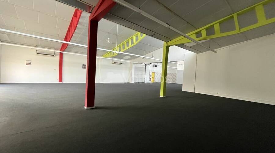 REXIM - Local d'activités - Tarn-et-Garonne - Montauban - 2