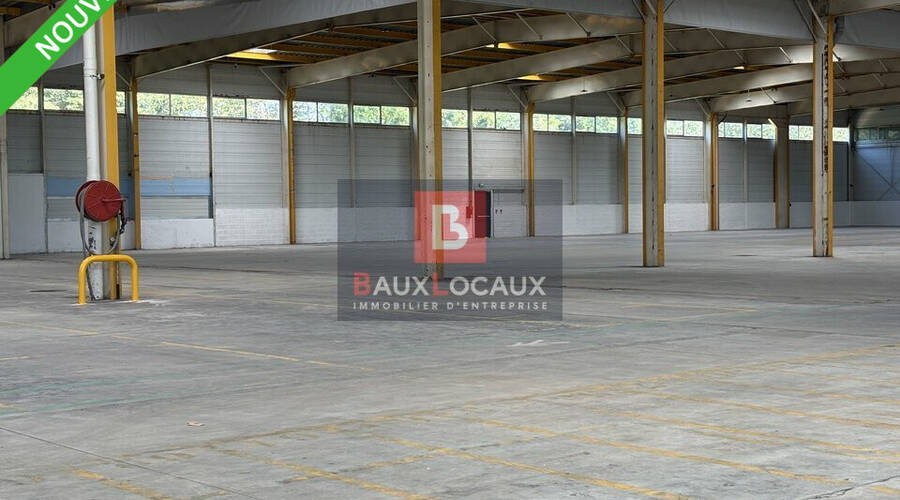 REXIM - Entrepôt - Vaucluse - Avignon - 5