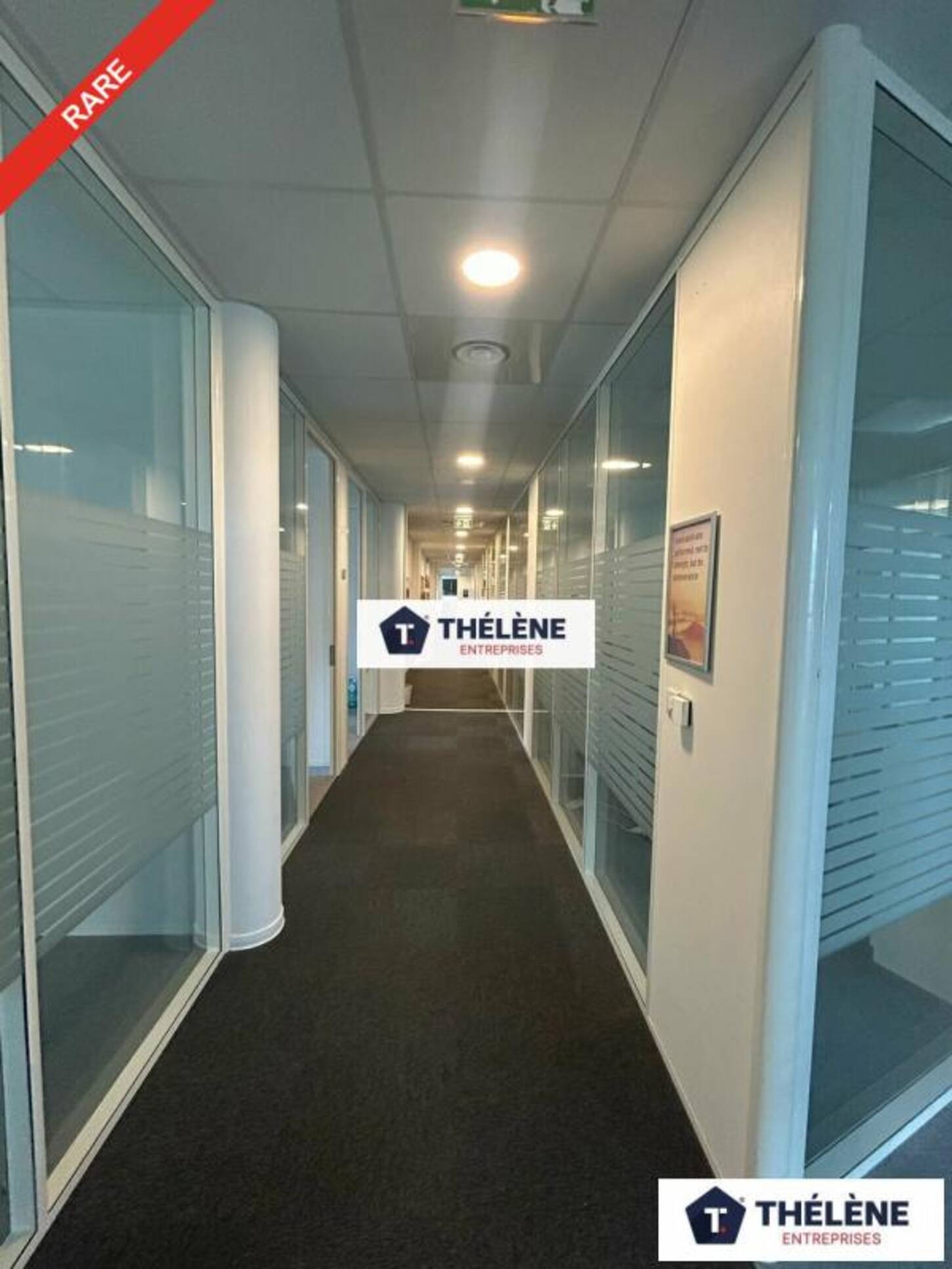 REXIM - Bureau - Hérault - Montpellier - 2