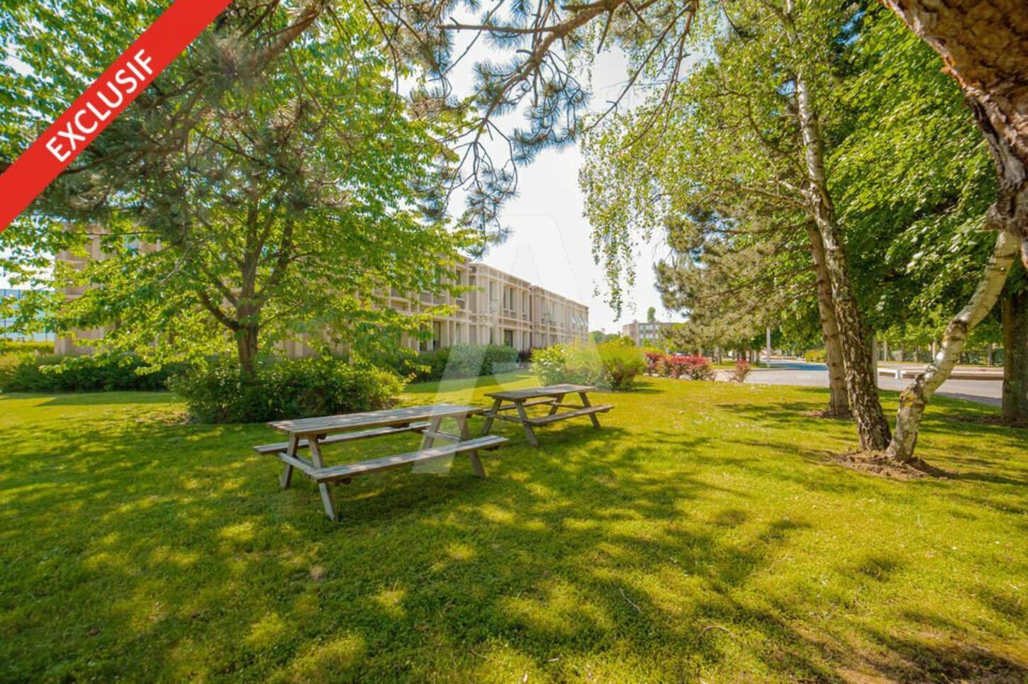 REXIM - Terrain - Saclay - 2