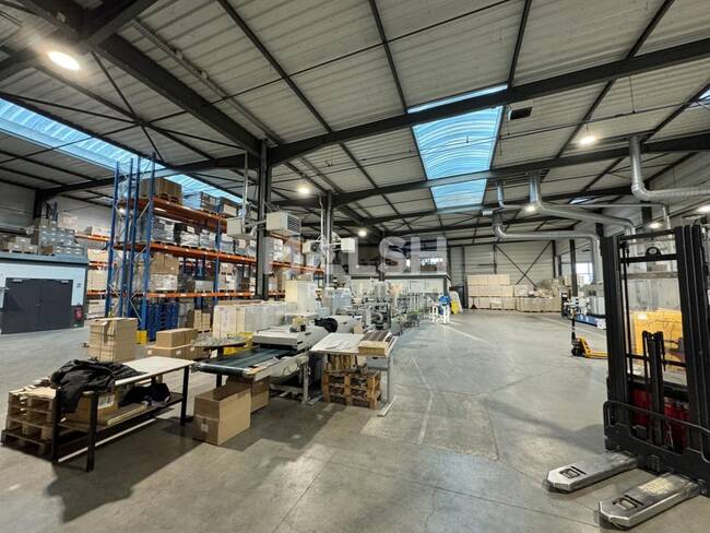 REXIM - Local d'activités - Loire - Saint-Cyprien - 1