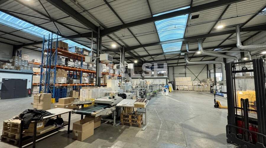 REXIM - Local d'activités - Loire - Saint-Cyprien - 1