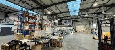 REXIM - Local d'activités - Loire - Saint-Cyprien - 1