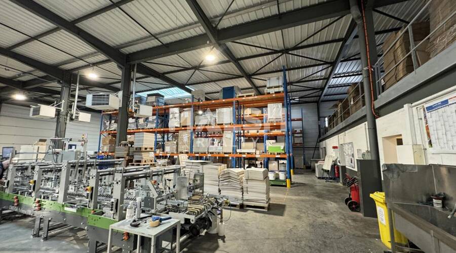 REXIM - Local d'activités - Loire - Saint-Cyprien - 3