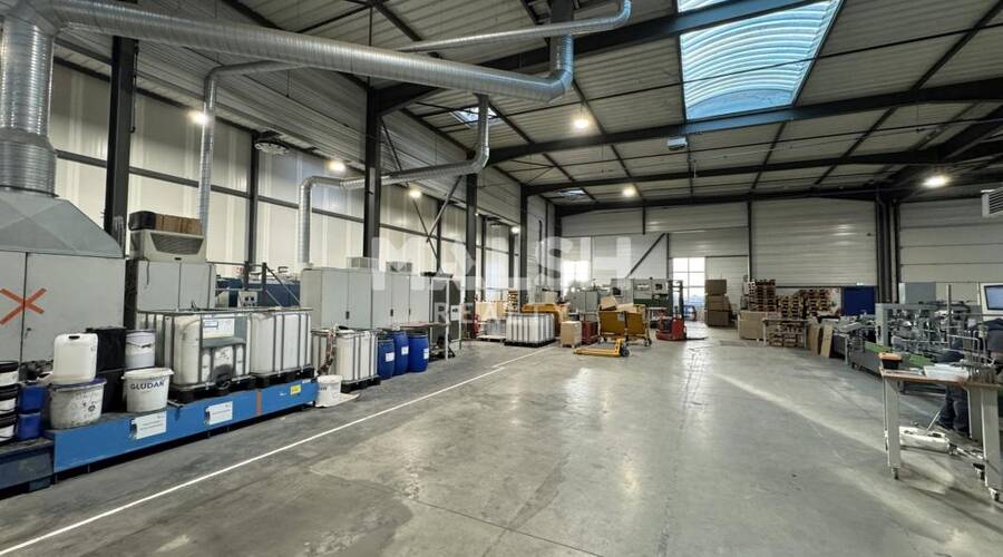 REXIM - Local d'activités - Loire - Saint-Cyprien - 5