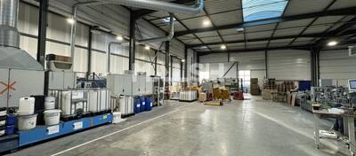 REXIM - Local d'activités - Loire - Saint-Cyprien - 5