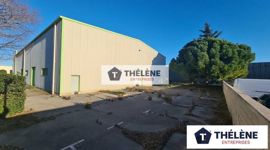 REXIM - Local d'activités - Hérault - Mauguio - 1