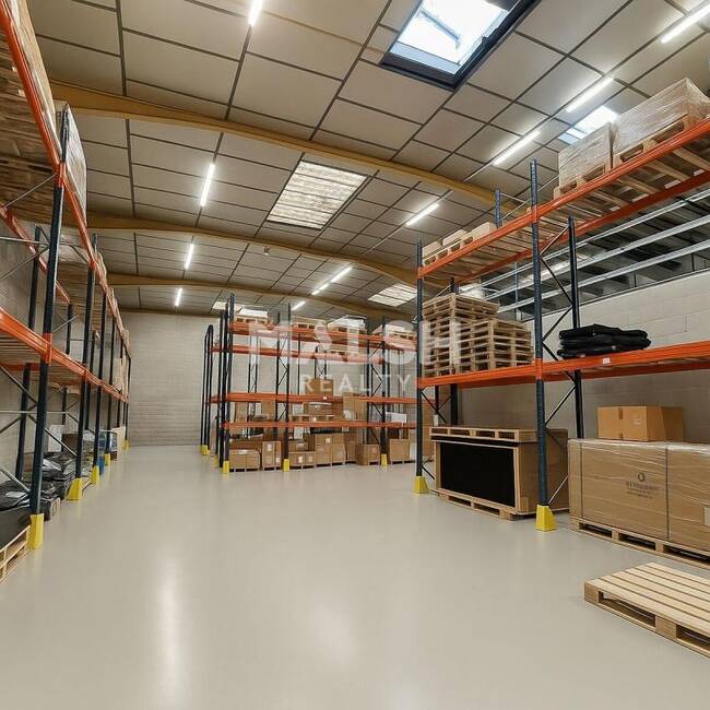 REXIM - Local d'activités - Rhône - Irigny - 1