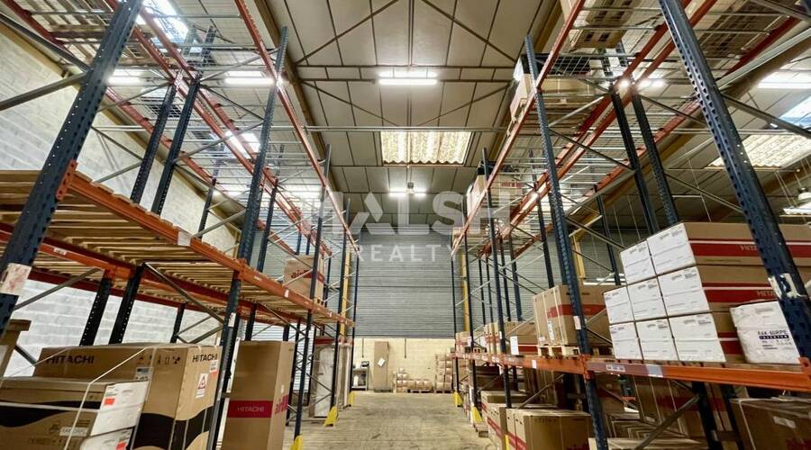 REXIM - Local d'activités - Rhône - Irigny - 3