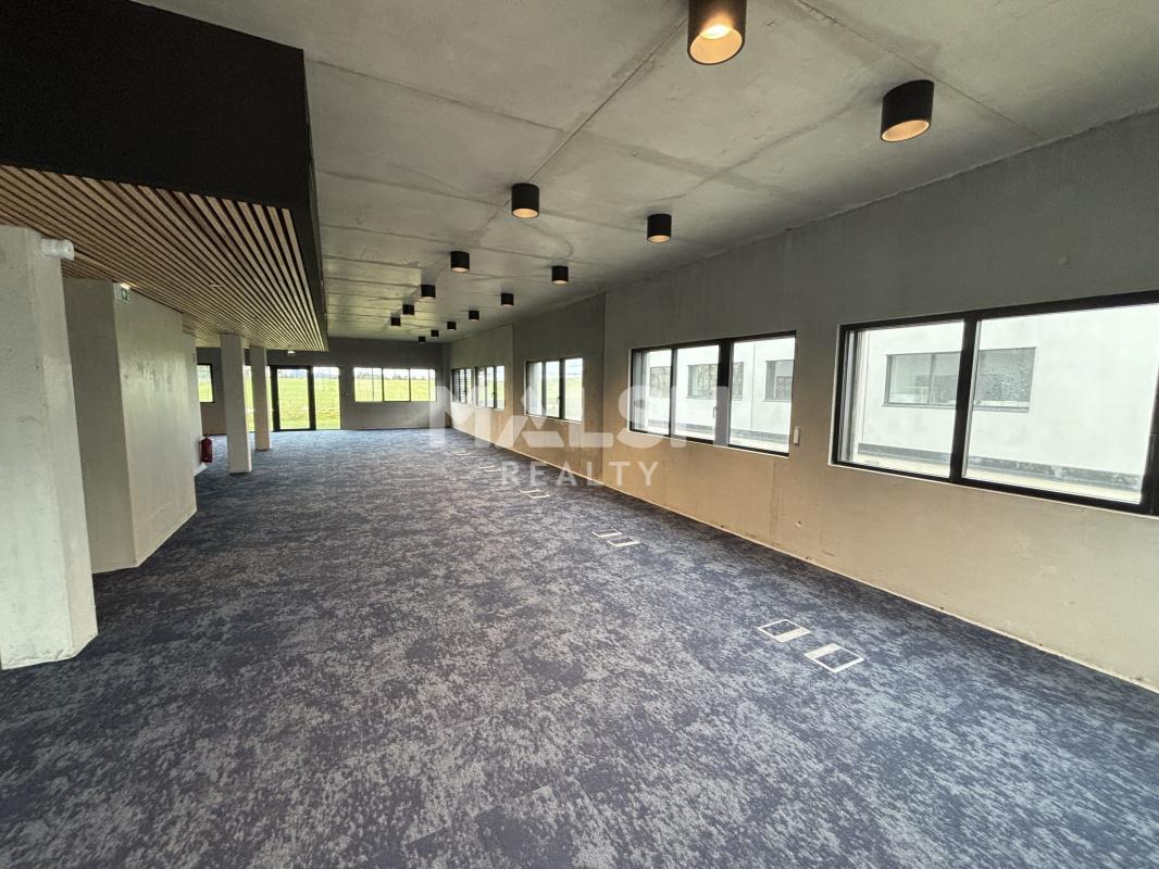 REXIM - Local d'activités - Rhône - Rillieux-la-Pape - 3