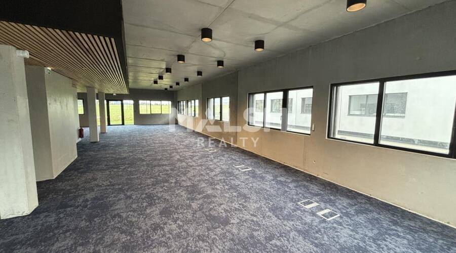 REXIM - Local d'activités - Rhône - Rillieux-la-Pape - 3