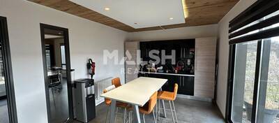 REXIM - Local d'activités - Isère - Chasse-sur-Rhône - 5