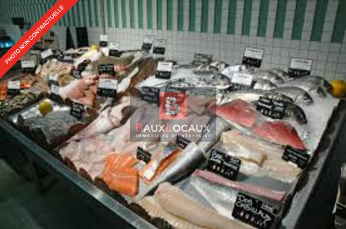 REXIM - Local commercial - Bouches-du-Rhône - Pélissanne - 2
