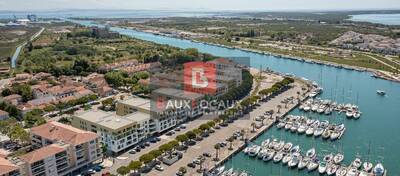 REXIM - Local commercial - Bouches-du-Rhône - Port-Saint-Louis-du-Rhône - 2