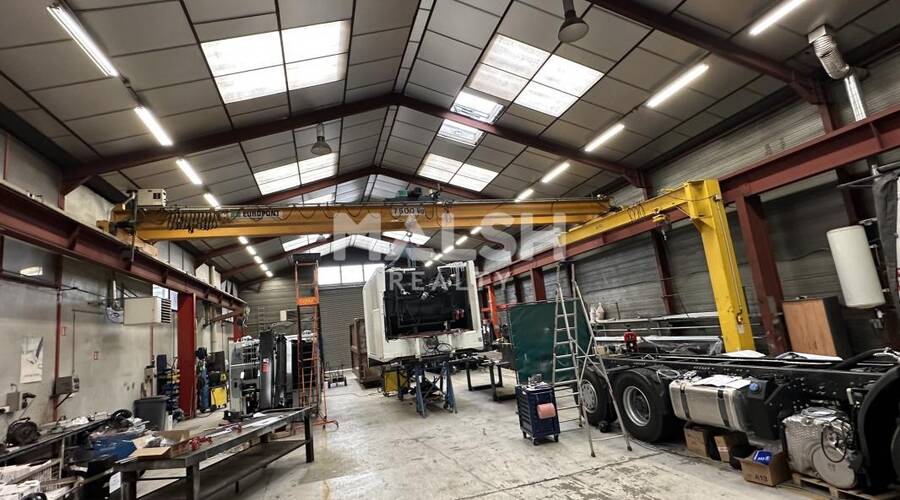 REXIM - Local d'activités - Rhône - Mions - 5