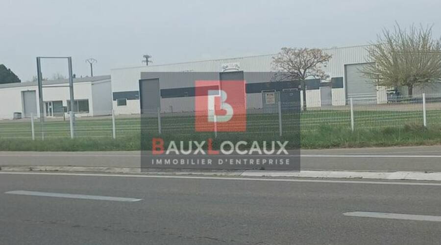 REXIM - Local d'activités - Gard - Saint-Gilles - 6