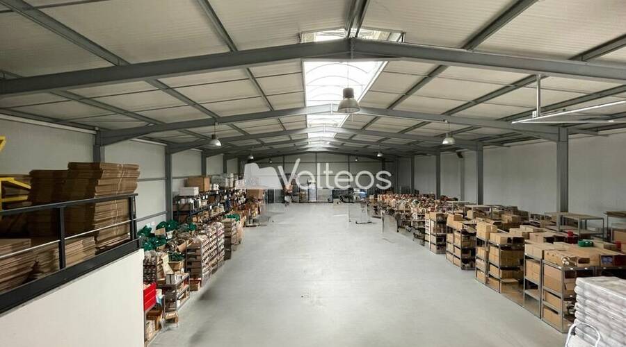 REXIM - Local d'activités - Haute-Garonne - Beaupuy - 1