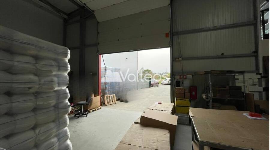 REXIM - Local d'activités - Haute-Garonne - Beaupuy - 3