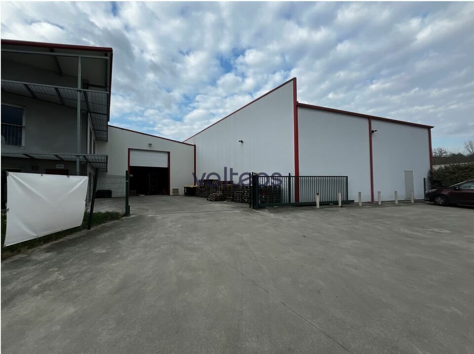 REXIM - Local d'activités - Haute-Garonne - Beaupuy - 2