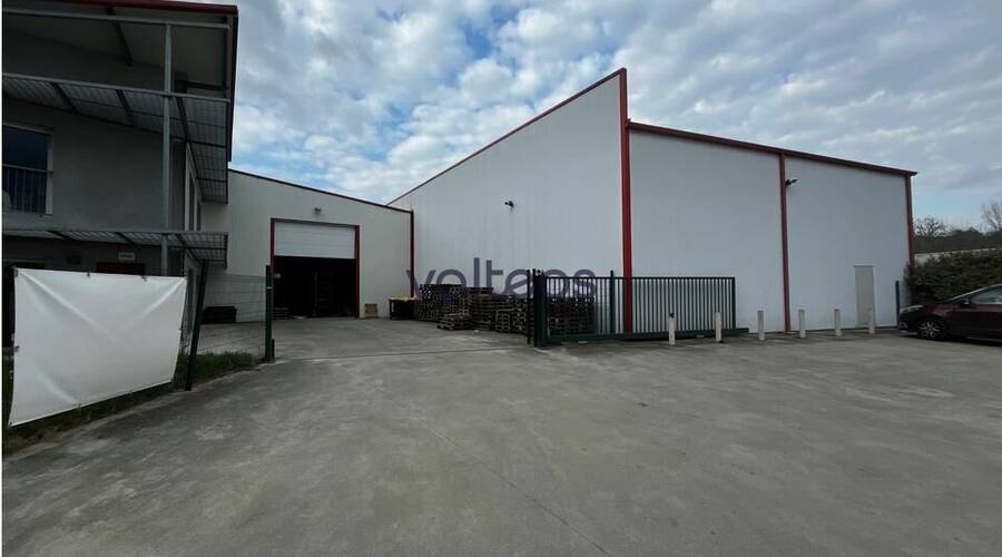REXIM - Local d'activités - Haute-Garonne - Beaupuy - 2