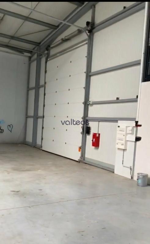 REXIM - Local d'activités - Haute-Garonne - Beaupuy - 5