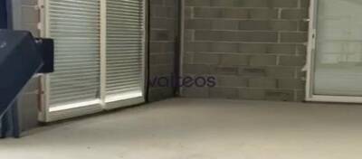 REXIM - Local d'activités - Haute-Garonne - Beaupuy - 8