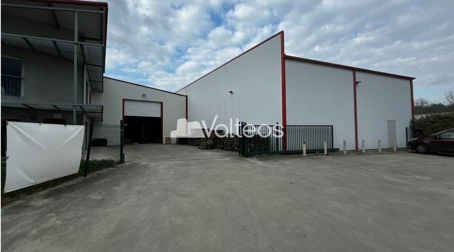 REXIM - Local d'activités - Haute-Garonne - Beaupuy - 1