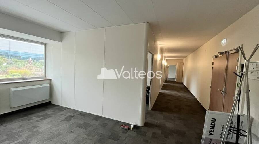 REXIM - Bureau - Haute-Garonne - Balma - 3