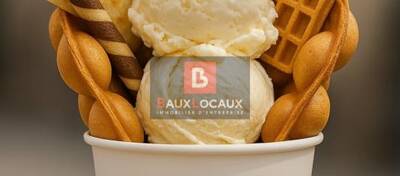 REXIM - Local commercial - Bouches-du-Rhône - Salon-de-Provence - 1