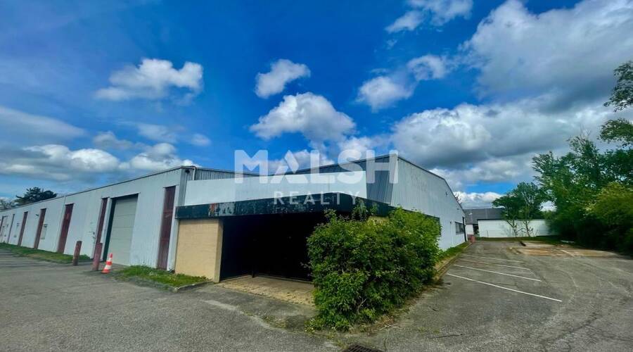 REXIM - Local d'activités - Rhône - Rillieux-la-Pape - 22