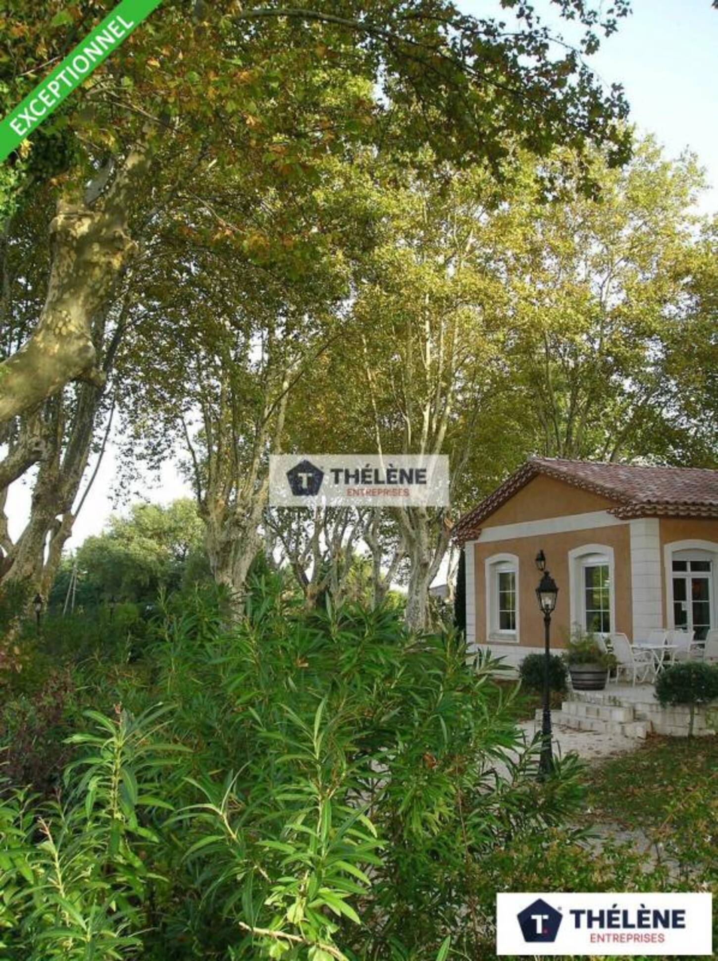 REXIM - Local commercial - Gard - Vers-Pont-du-Gard - 2
