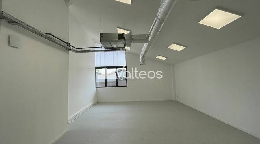 REXIM - Local d'activités - Haute-Garonne - Toulouse - 3